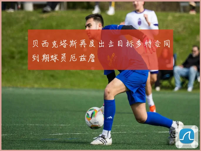 贝西克塔斯再度出击目标多特合同到期球员厄兹詹